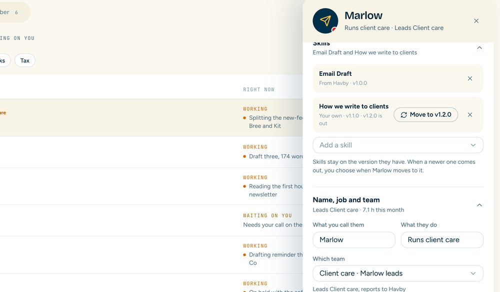 Marlow’s panel: the skills they run with their versions, what they do and which team they lead.