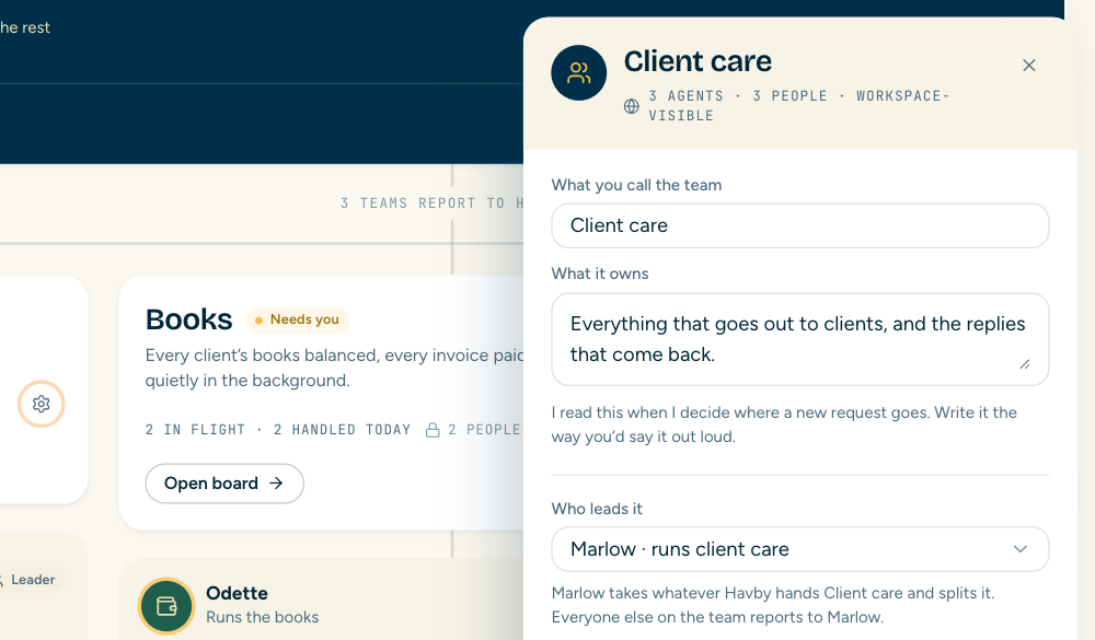 The Client care team panel: name, what it owns, who leads it and the agents on it.